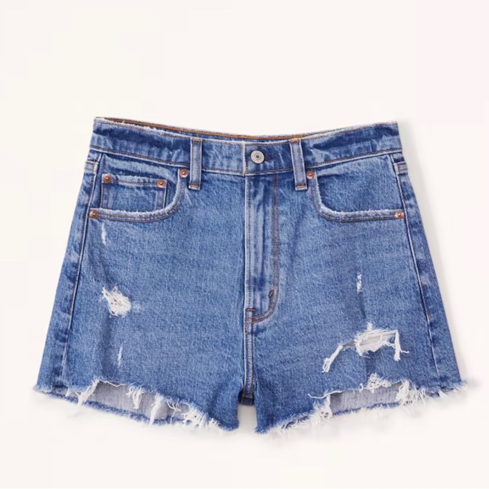 BNWT Abercrombie Mom Short High Rise Size 30, Size 10
